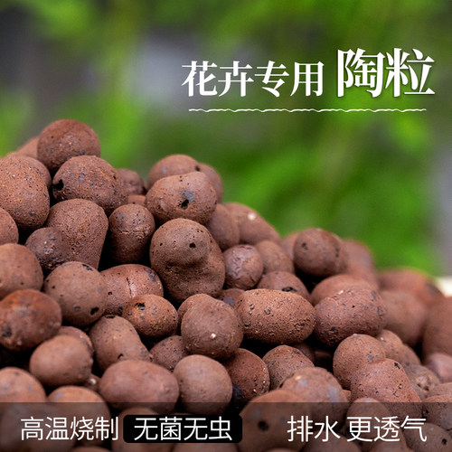 园艺用陶粒透气防烂根微型家园艺