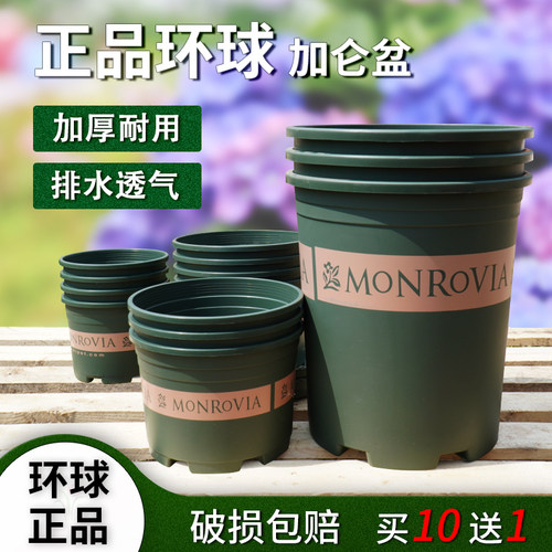 正品环球加仑盆树脂花盆买10送1
