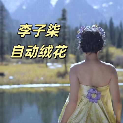 自动绒花开合器机械电动花朵装置艺术创新diy设计舞蹈表演仿生花