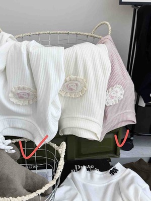 童装 女童纯棉加厚不加绒打底衫秋冬新款A类中童上衣