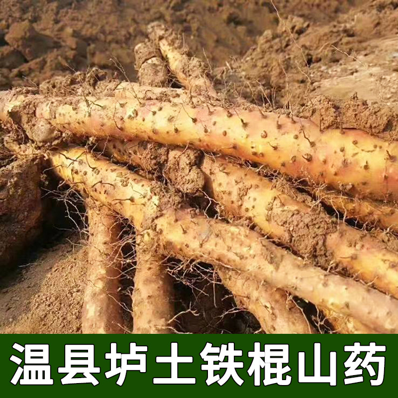 正宗焦作温县铁棍山药垆土山药怀山药铁杆淮山药新鲜山药5斤包邮