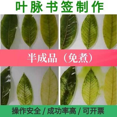 叶脉书签半成品免煮叶脉材料包