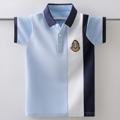 薄款 男童短袖 体恤纯棉衣服 中大童翻领polo衫 夏季 t恤夏装 2024新款