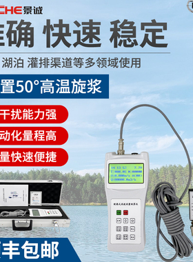 流速仪流速测量仪手持便携螺旋桨式LS1206b水流速度 LS300A流速计