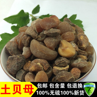 谯烁中药材 野生正品 新货 土贝母 土贝 大贝母 500克 草贝 包邮