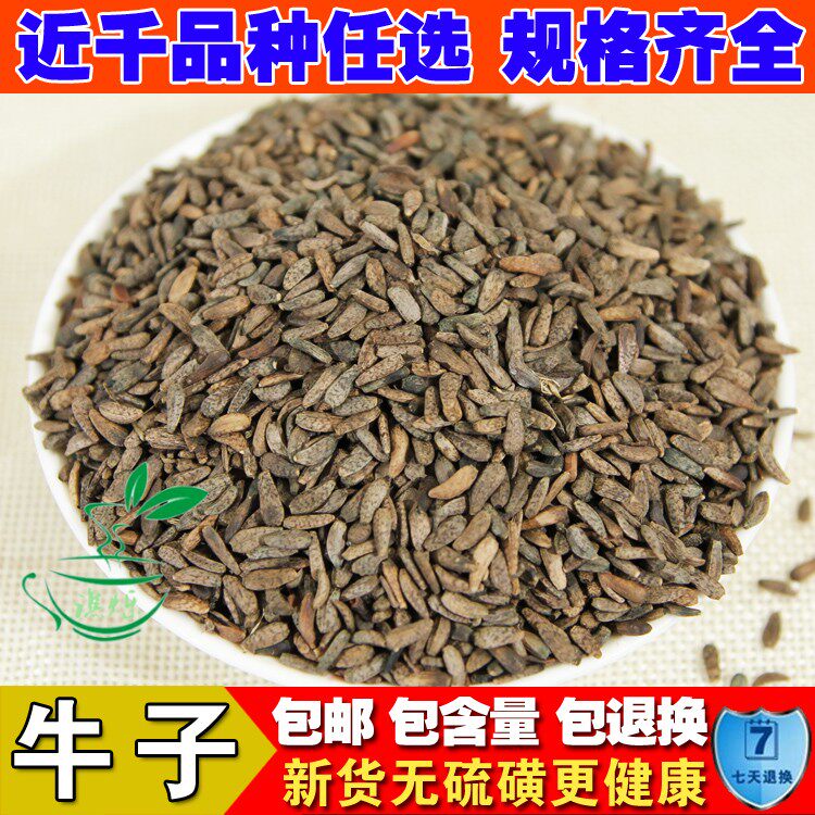 野生中药材牛蒡子 大力子 牛子 鼠黏子 恶实 黍粘子 毛然然子包邮
