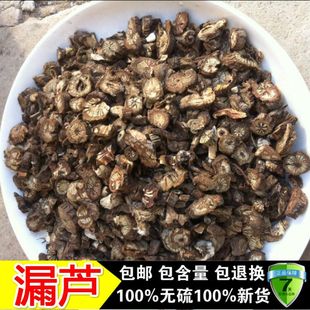 中药材 无硫新货漏芦 野兰 鬼油麻 华州漏芦 禹州漏芦 500克 包邮