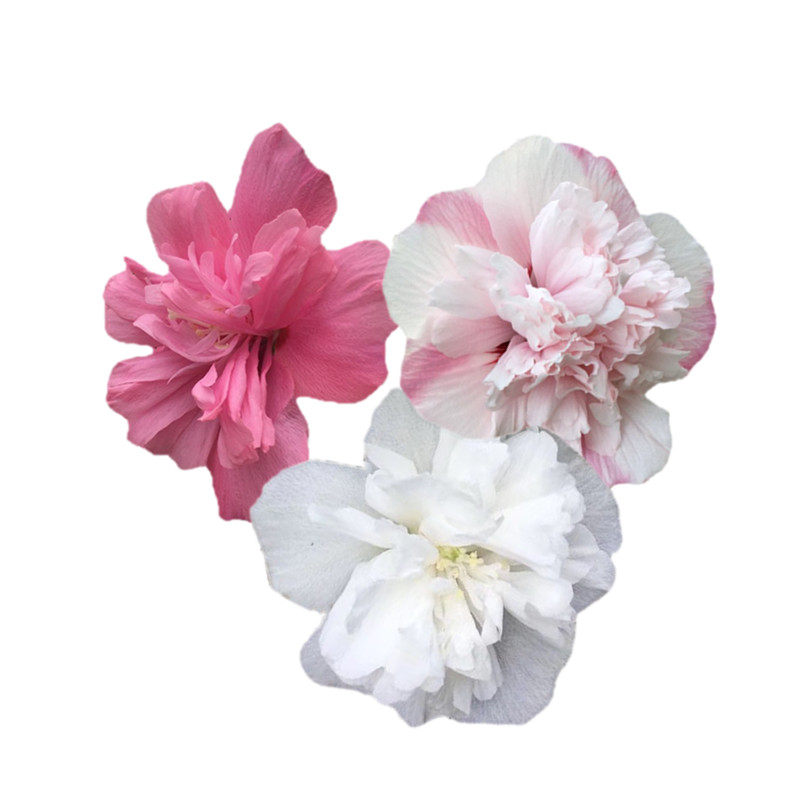 多色木槿花树苗食用木槿花卉阳台庭院耐寒抗旱丰花木槿带花苞带土