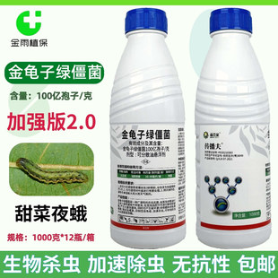 新景象传播夫金龟子绿僵菌大白菜甜菜夜蛾加速杀虫农药杀虫剂正品