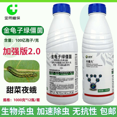 金龟子绿僵菌甜菜夜蛾杀虫剂