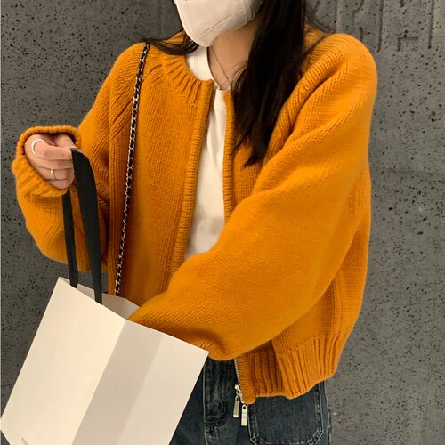 灰色浣熊绒短款拉链毛衣外套女春秋复古慵懒风外穿针织开衫