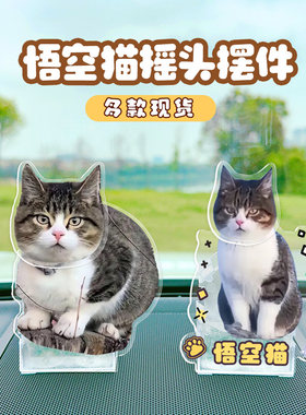 网红款赵朔悟空小猫咪摇头摆件