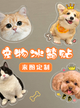 透明亚克力冰箱贴装饰