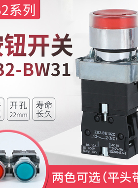 XB2-BW3361 BW3462 BW3661 BW3561 BW3161平头带灯按钮380V 220V