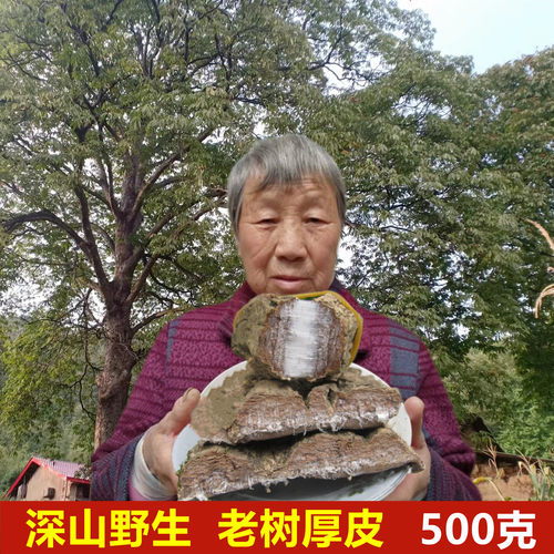 野生杜仲皮中药材老树厚皮不熏硫