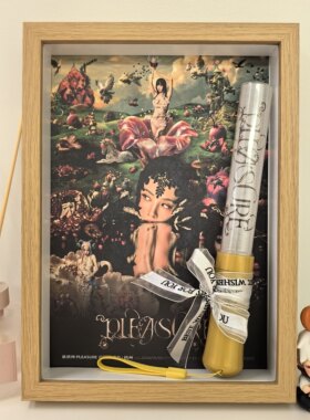 蔡依林演唱会荧光棒收纳相框展示盒装饰摆台透明摆件纪念周边礼物