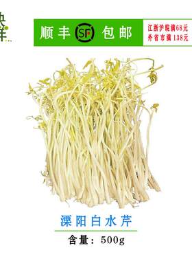 天目湖特产溧阳白芹新鲜芹菜蔬菜