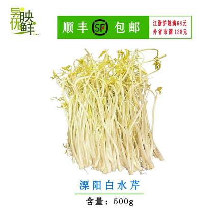 天目湖特产溧阳白芹芹丫 水芹新鲜芹菜（认准溧阳发货）1斤顺丰