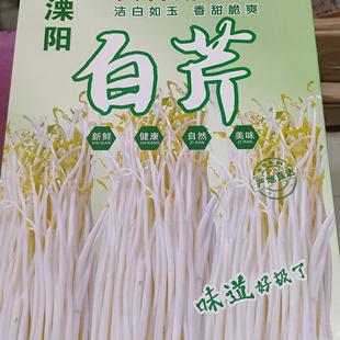 天目湖特产 溧阳白芹 芹丫精品4斤礼盒装