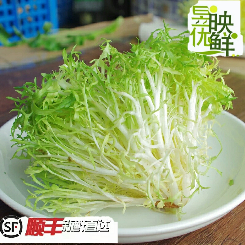 【昱映優鮮】新鮮黃心苦葉 特級黃心苦葉新鮮色拉菜500克