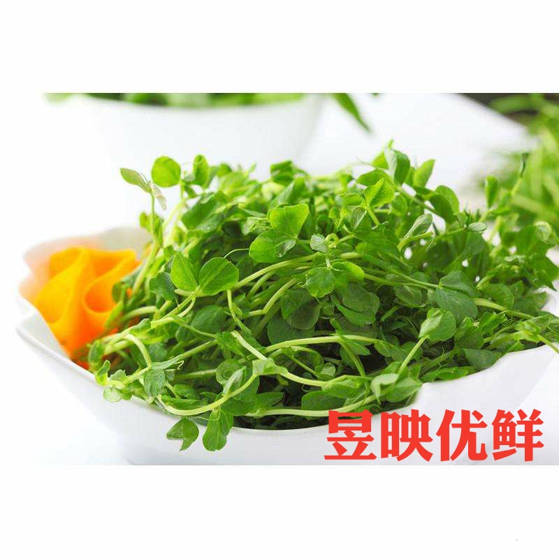 【昱映優鮮】上海農家新鮮碗豆苗 碗豆嫩頭綠色蔬500克