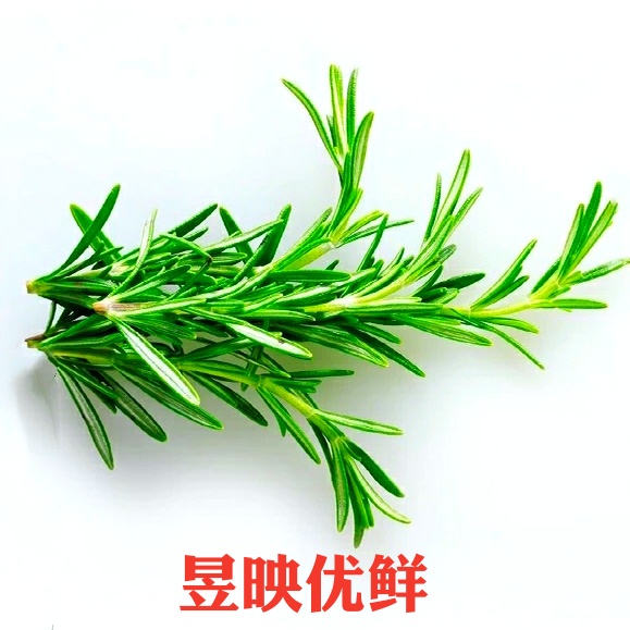 【昱映優鮮】迷迭香100g 西餐廳香料新鮮蔬菜