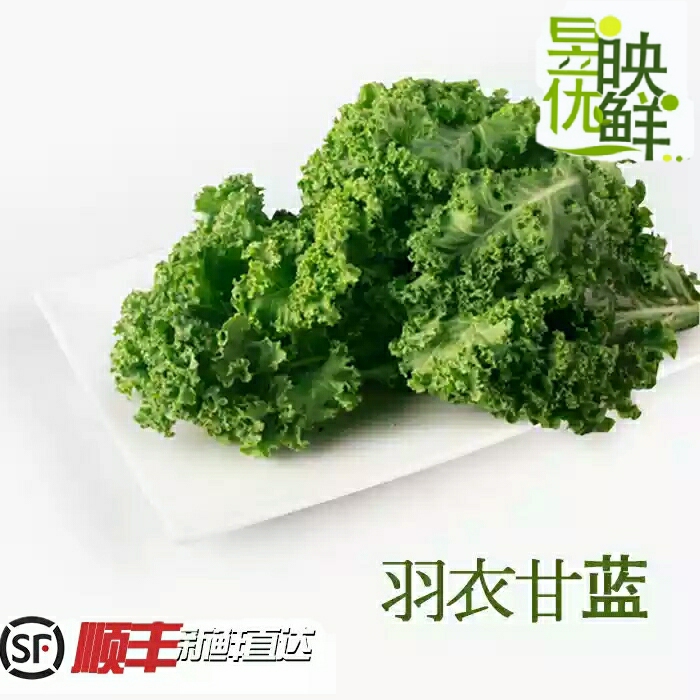 【昱映優鮮】新鮮 精品羽衣甘藍蔬菜500g西餐沙拉菜