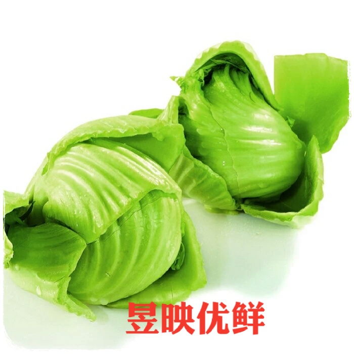 【昱映優鮮】新鮮蔬菜 大芥菜 芥球 包心芥菜1000克