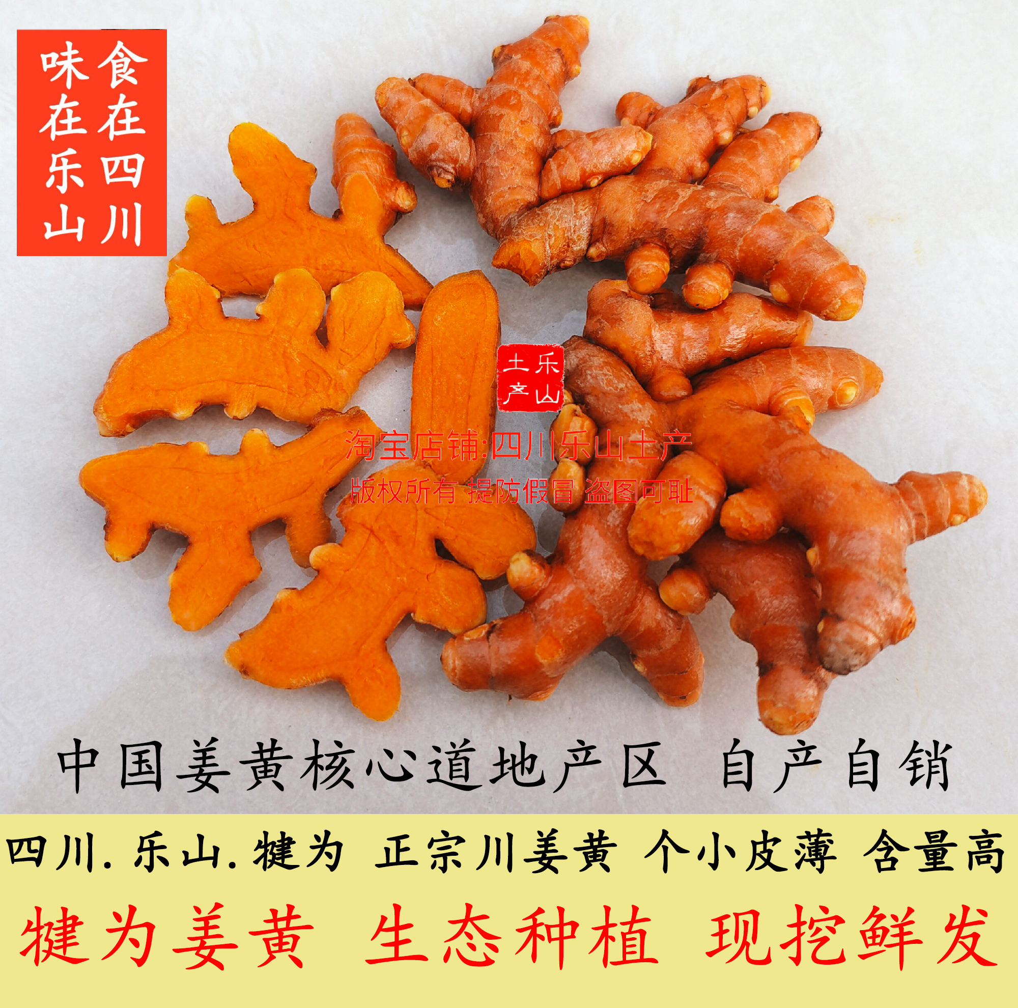 正宗四川犍为姜黄 新鲜姜黄 生态种植产地直发 道地食药材 非生姜