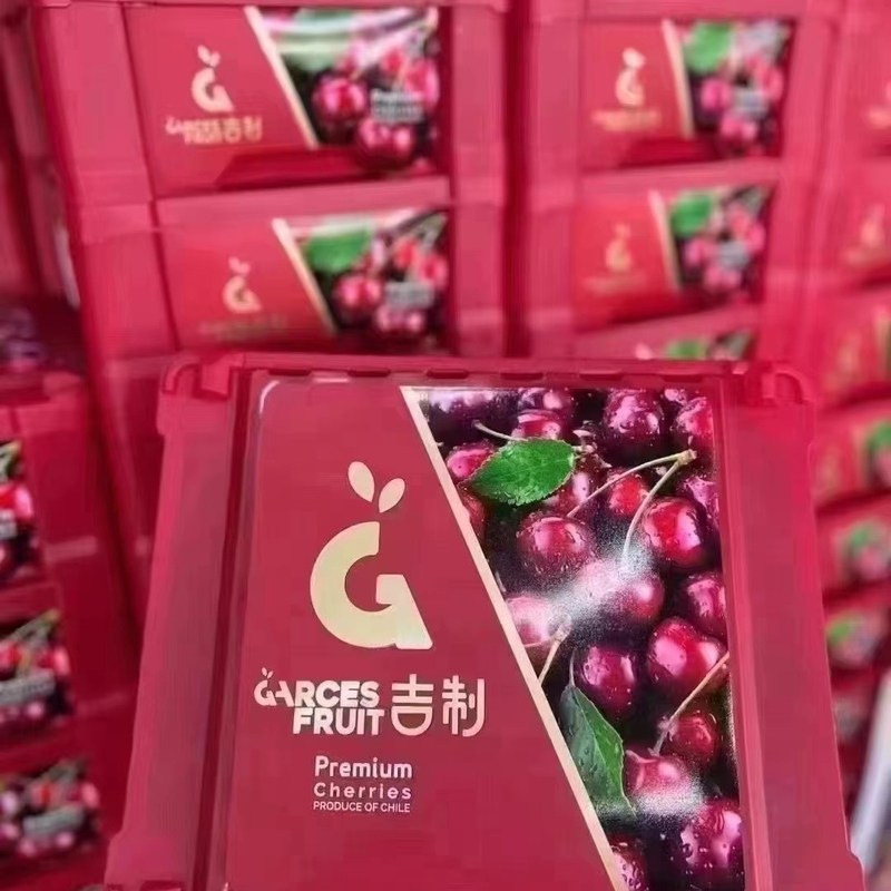 吉制大G智利车厘子4斤小红盒进口樱桃新鲜水果应当季整箱礼盒装,水产肉类/新鲜蔬果/熟食,车厘子/樱桃,淘宝优惠券,粉丝福利购,淘宝优惠卷