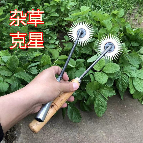 除草神器家用菜园松土锰钢太阳花锄头小耙子连根拔草挖野菜小工具