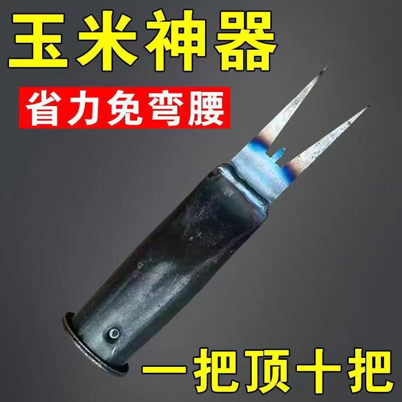 包米覆盖洋葱红薯保温苞谷地膜
