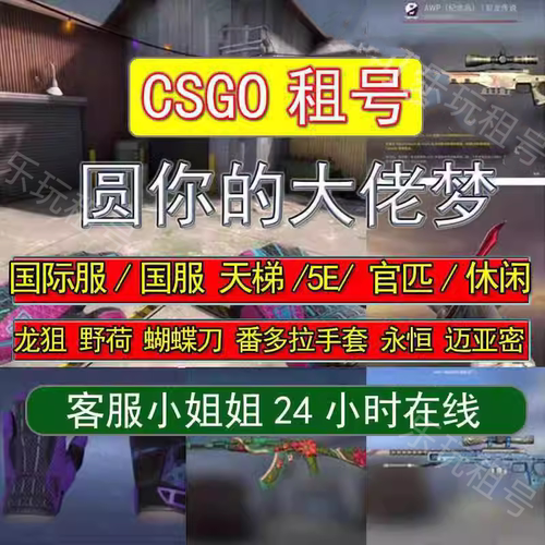 CSGO租号5E完官匹美优先竞技永恒皮肤龙狙咆哮宝石爪迈阿密蝴蝶刀