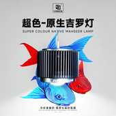 马印鱼缸照明灯原生态吉罗灯可调节亮度观赏鱼增艳灯超色筒灯金鱼