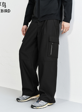 【商场同款】太平鸟男装休闲裤25冬季新款阔腿工装长裤 B2GLF4D02