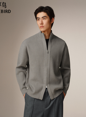 【商场同款】太平鸟男装 休闲毛衫竖条肌理休闲宽松毛衣B1EAF4421