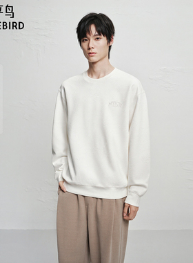 【商场同款】太平鸟男装 2025年冬季新款圆领莫代尔卫衣B2CRF4133