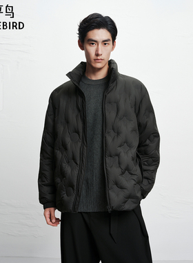 【商场同款】太平鸟男装羽绒服冬季新款压胶立领外套 B1ACF4447