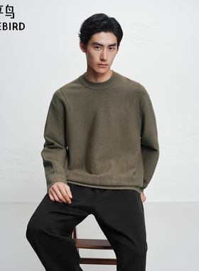 【商场同款】太平鸟男装毛衫25冬季新款套头针织衫 B2EBF4D04