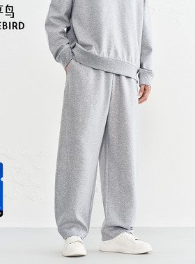 【商场同款】太平鸟男装直筒休闲裤冬新款宽松潮流卫裤B1GMF440G