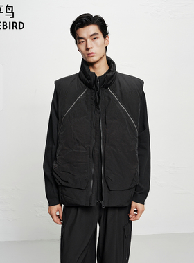 【商场同款】太平鸟男装立领羽绒马甲25冬新款潮流外套B2AGF4D05