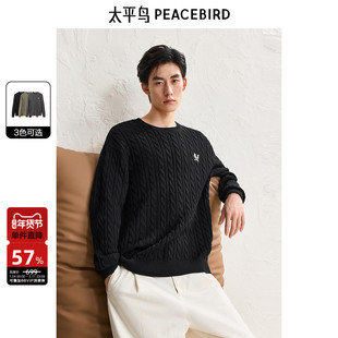 太平鸟男装 休闲毛衣新款慵懒毛衫肌理绞花男休闲毛衫 24冬季热卖