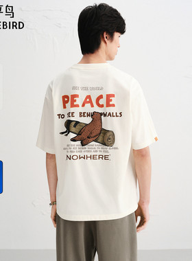 【Jonas联名】太平鸟男装 重磅刺绣宽松白色短袖T恤男B2CNF3201