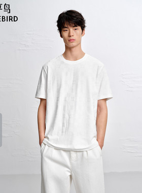 【商场同款】太平鸟男装 2026年夏季新款提花短袖T恤男B1CNG2170