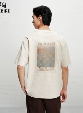 【商场同款】太平鸟Daria Song 联名合作系列男装T恤 B1CNF4212