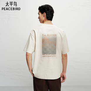 商场同款 T恤 太平鸟Daria 联名合作系列男装 B1CNF4212 Song
