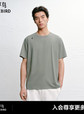 【商场同款】太平鸟男装T恤26夏新款纯色A标休闲短袖 B1CNG2316#