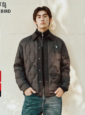 【商场同款】太平鸟男装鹅绒羽绒服25年冬季新款防寒服B1ACF4293