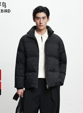 【商场同款】太平鸟男装2025年冬季新款面包服男羽绒服B1ACF4451
