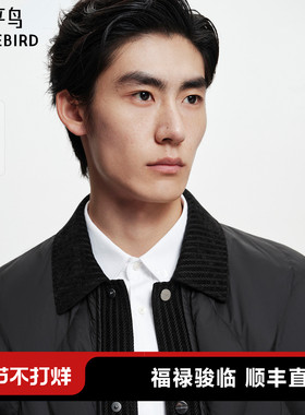 【商场同款】太平鸟男装衬衫式羽绒服新款轻薄羽绒外套B2ACF420D